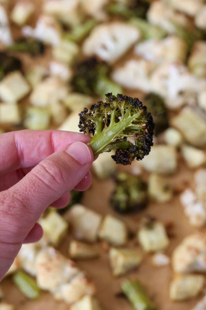 crispy roasted broccoli close up with other roasted fall vegetables in the background