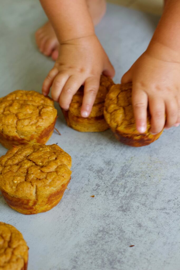 protein pumpkin muffin being picked up