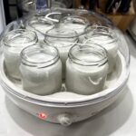 coconut yogurt recipe fermenting in a yogurt maker