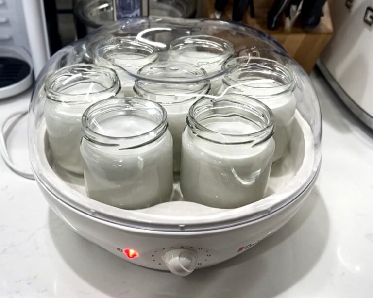 coconut yogurt recipe fermenting in a yogurt maker