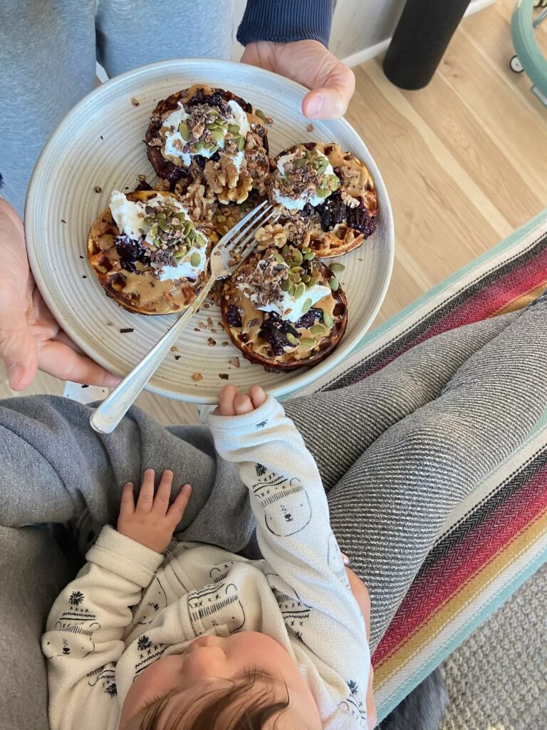 chocolate chip protein waffles with greek yogurt and blueberry topping