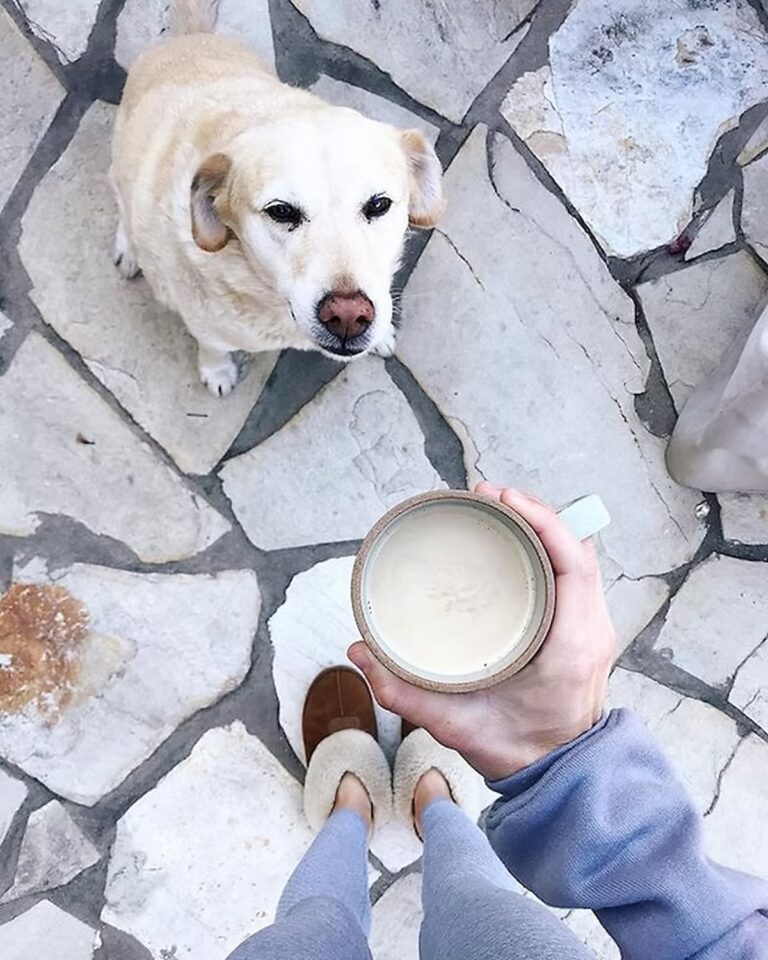 coffee with a dog sitting below it