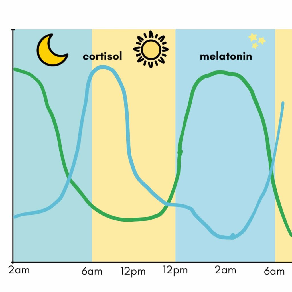 cortisol and melatonin curve